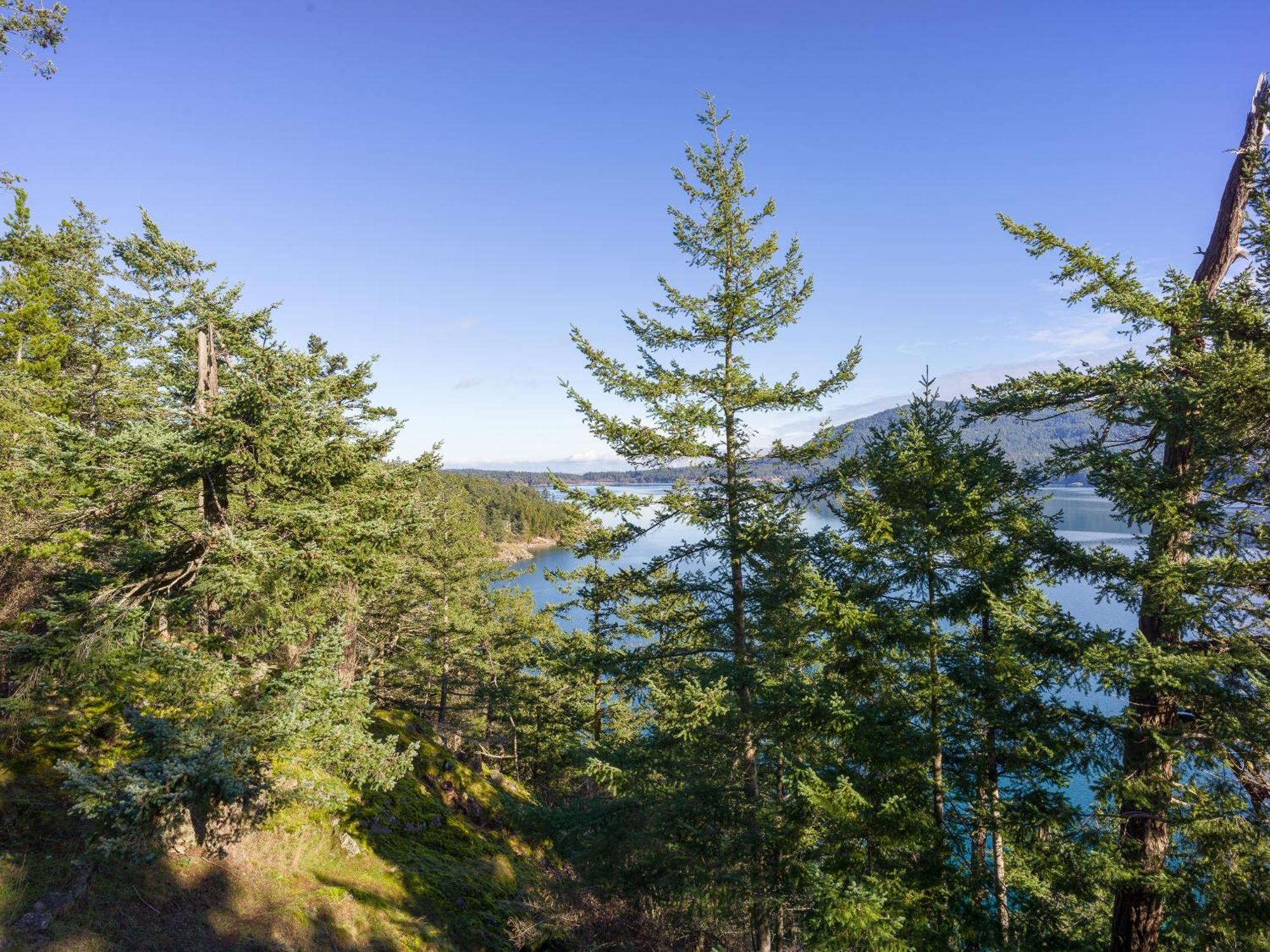 Luxury Waterfront & Views, Private Beach, Golfing Eastsound Exterior foto