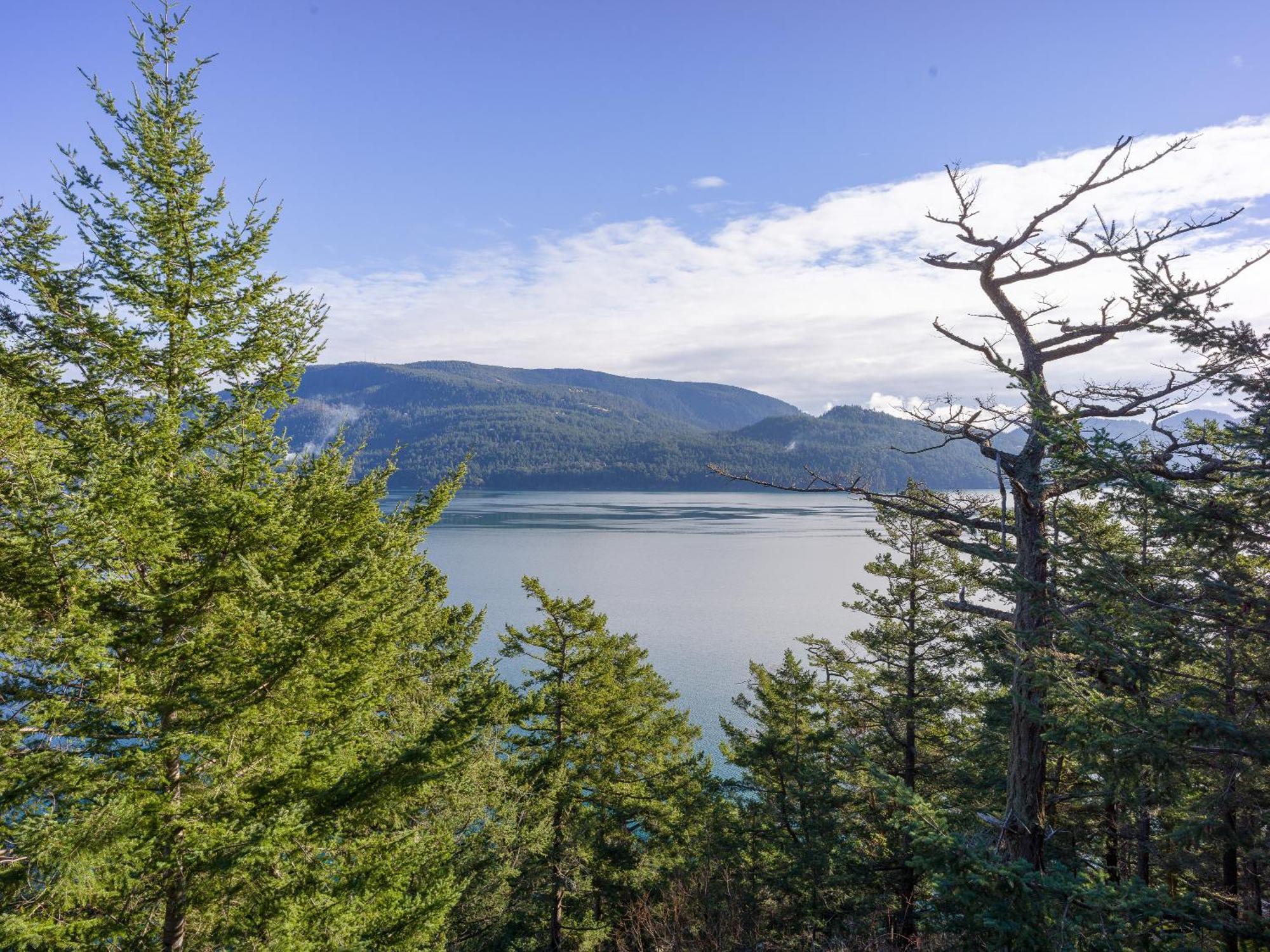 Luxury Waterfront & Views, Private Beach, Golfing Eastsound Exterior foto